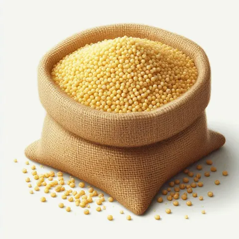 Millet groats