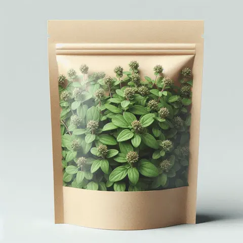 Oregano