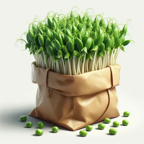 Pea shoots
