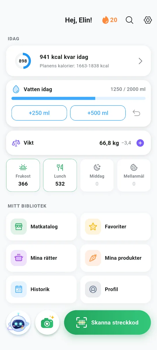 Matdagbok och makros