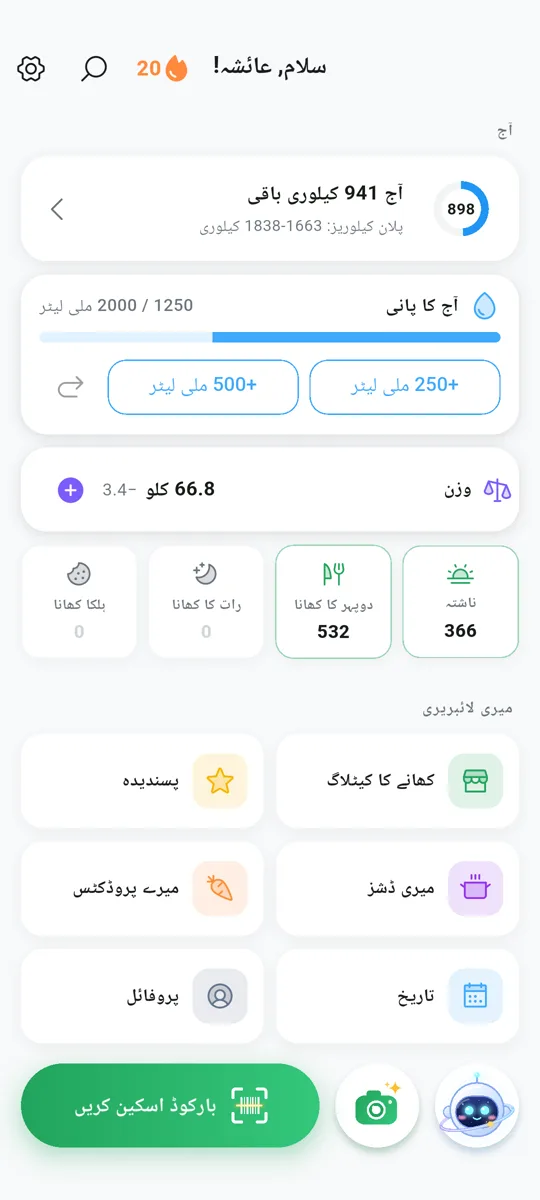 فوڈ ڈائری اور میکروز